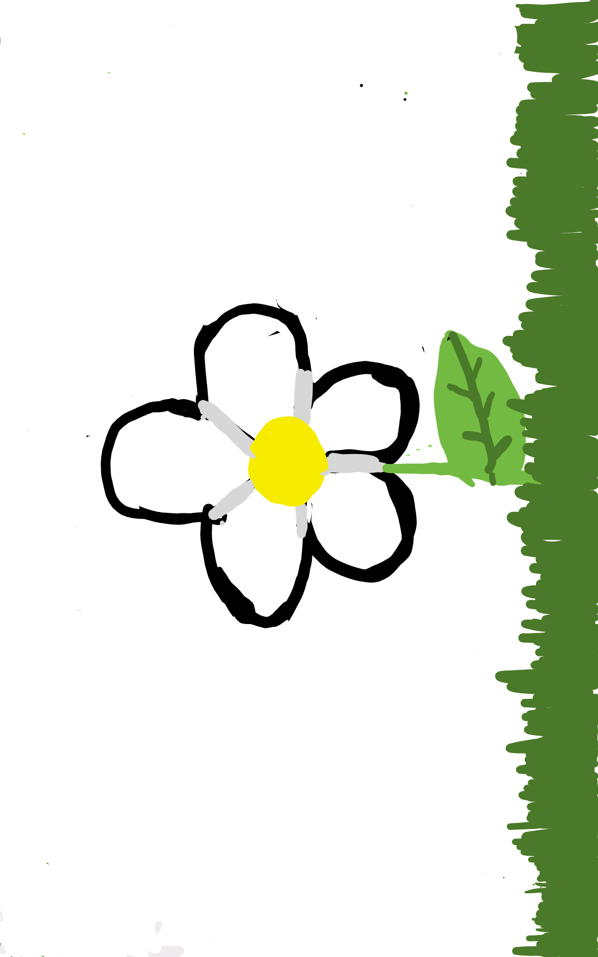 Dibujo
