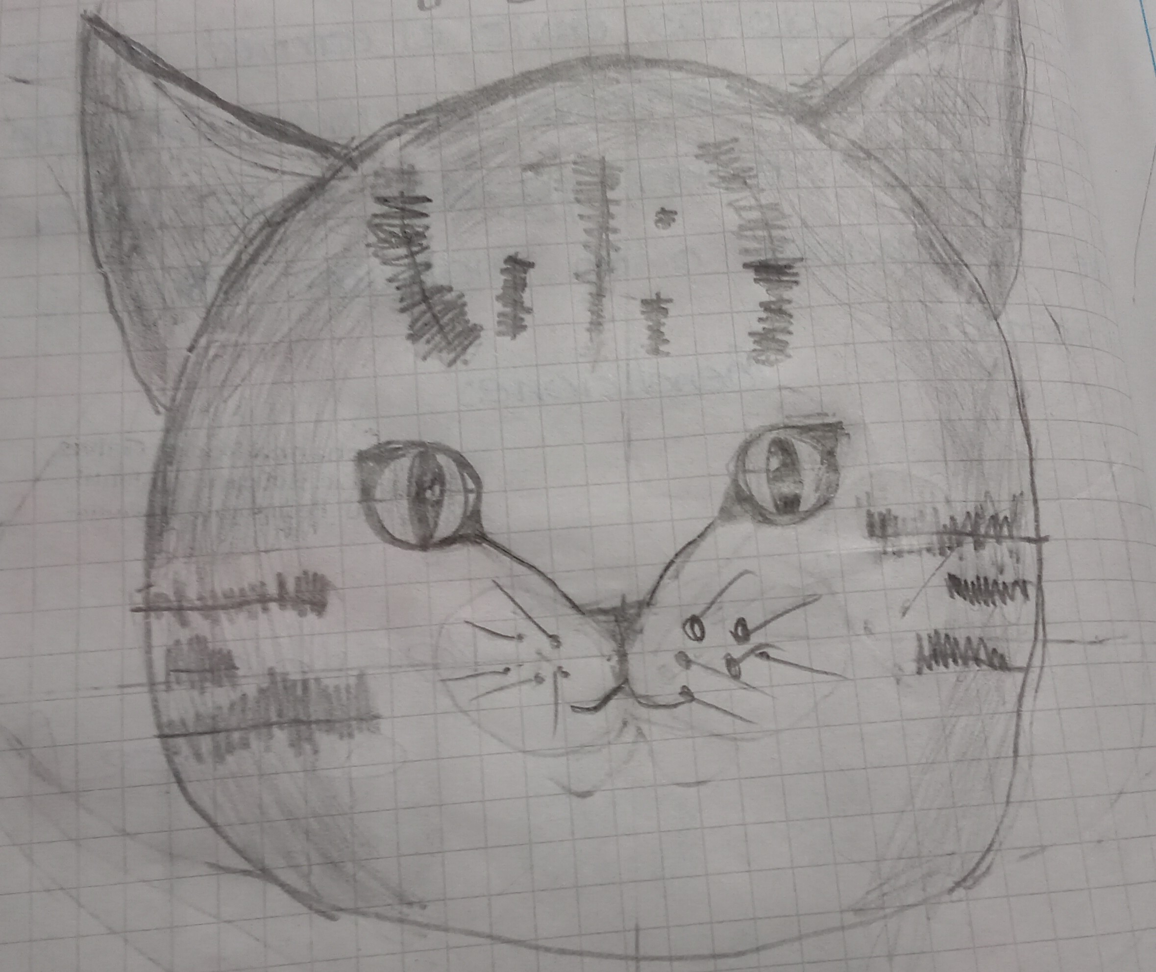 Dibujo